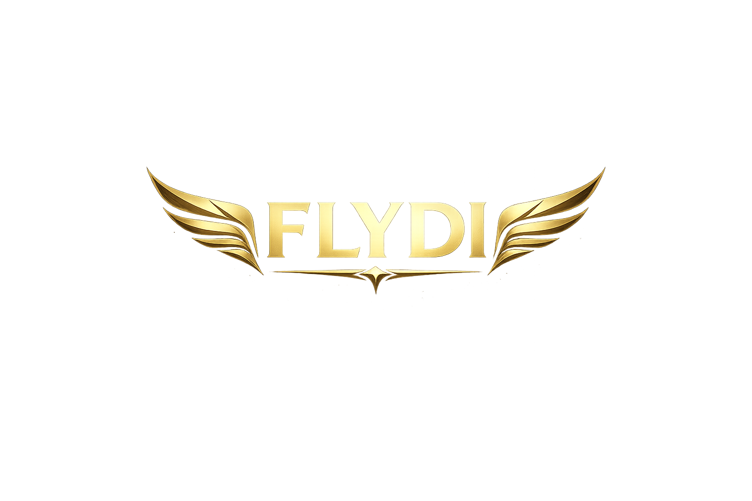 DJ FLYDI